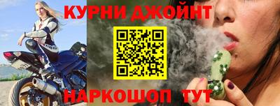 спиды Кингисепп