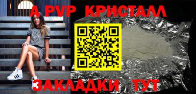 спиды Кингисепп