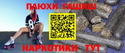 спиды Кингисепп