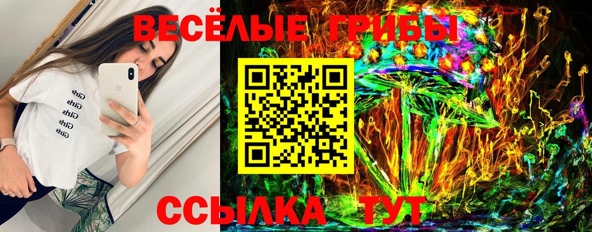 Пугачёв  Галлюциногенные грибы мухоморы  купить закладку  Вход с VPN 